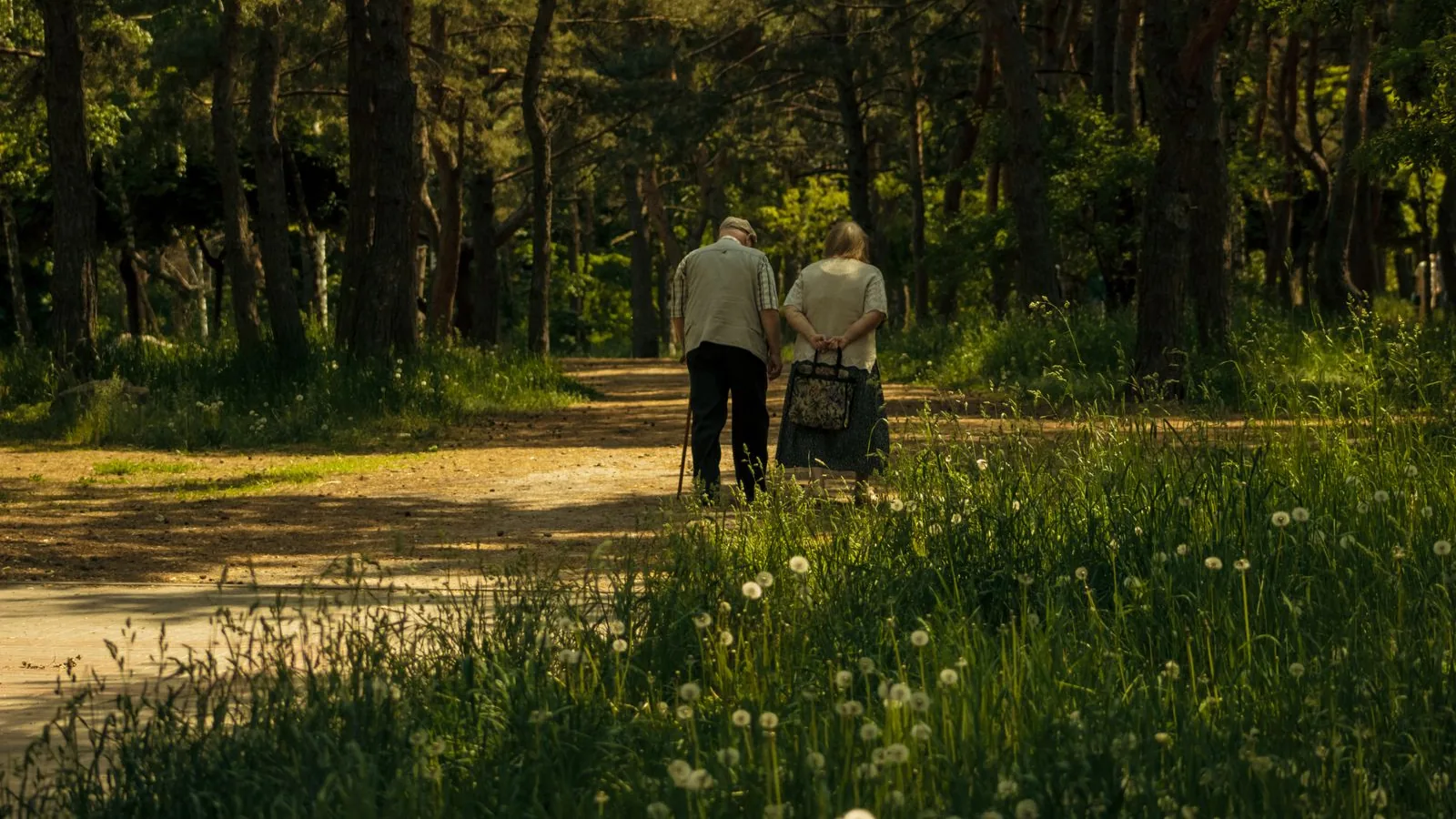 Älteres Paar geht Hand in Hand über einen Waldweg, Rückenansicht